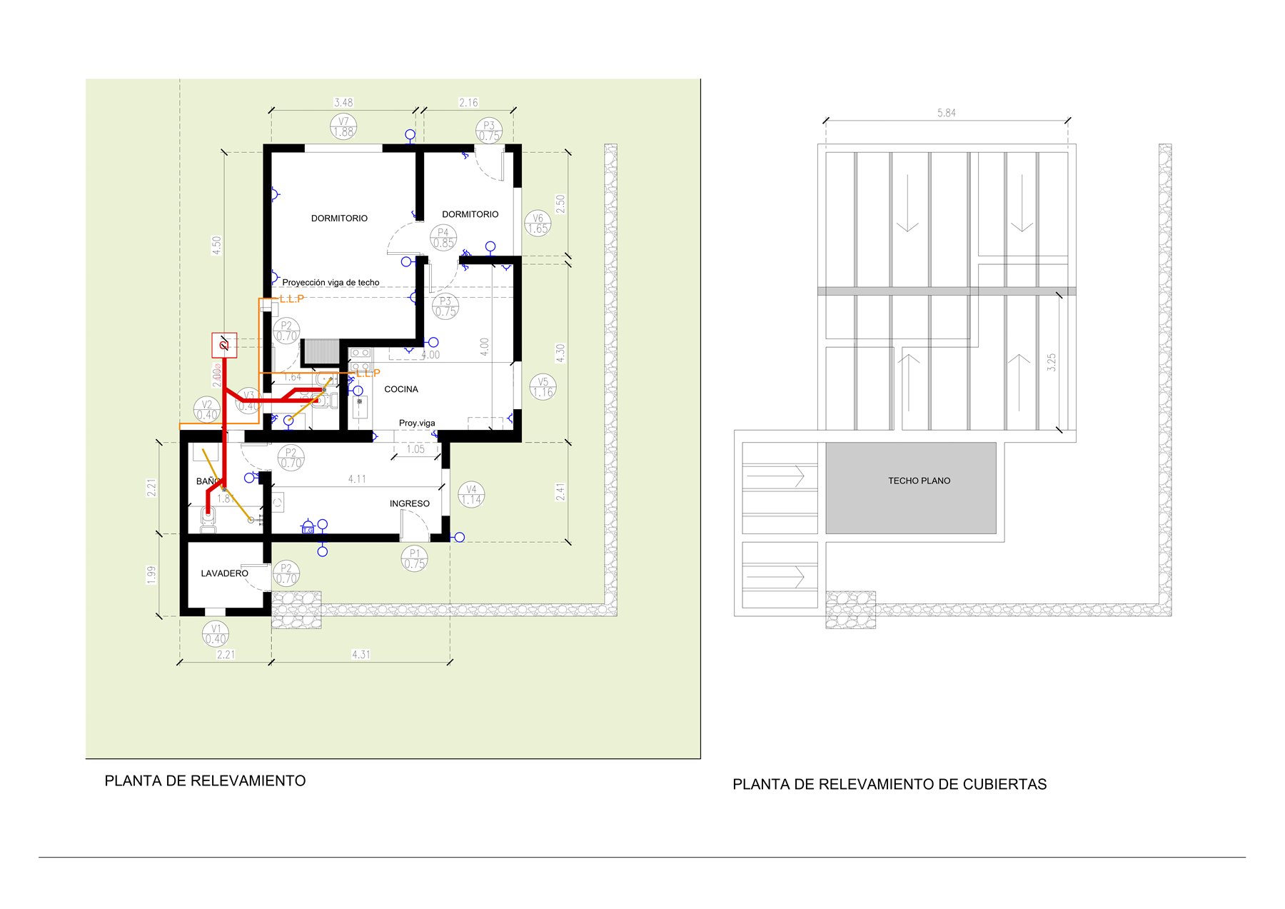 Planta